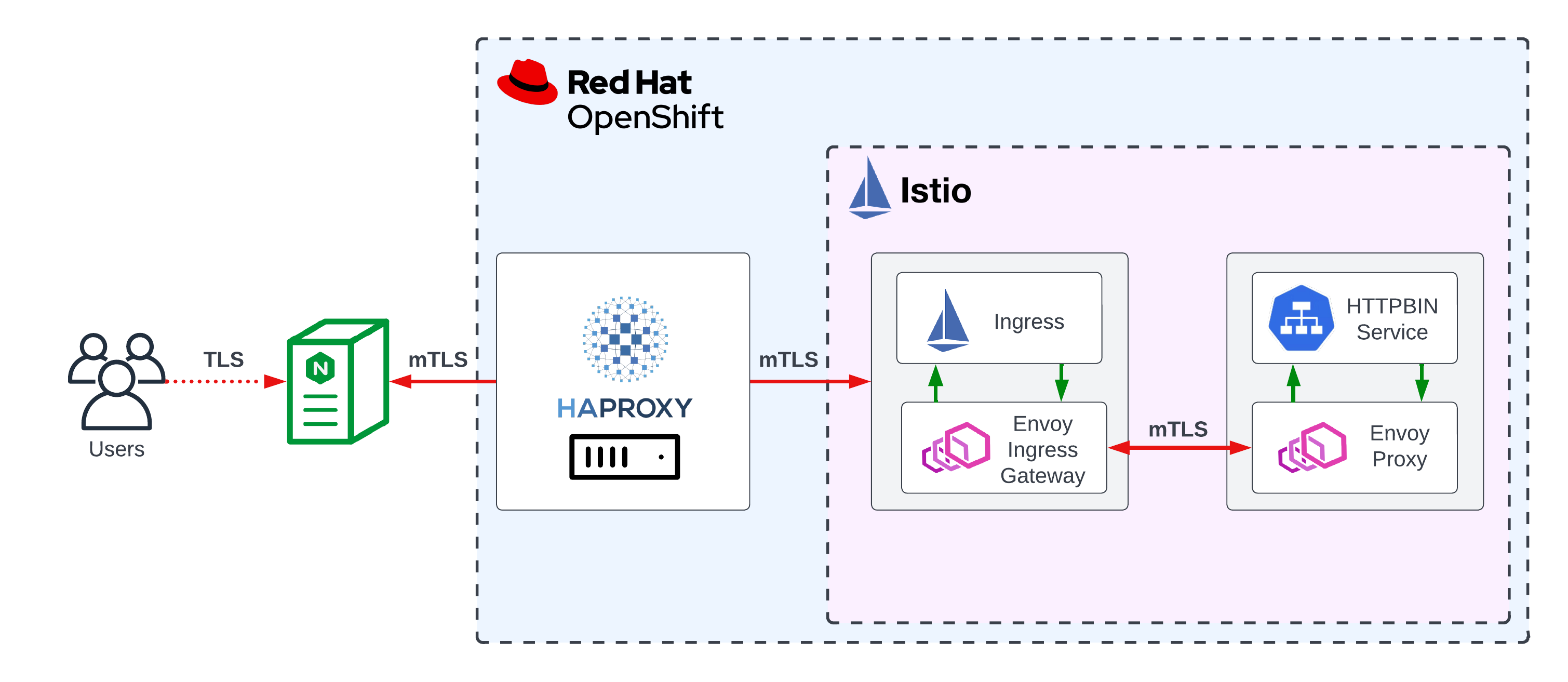 Service Mesh ingress via NGINX with mTLS